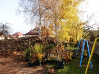 /album/zahrada-ms-thunska/zahrada-thunska-9-jpg/